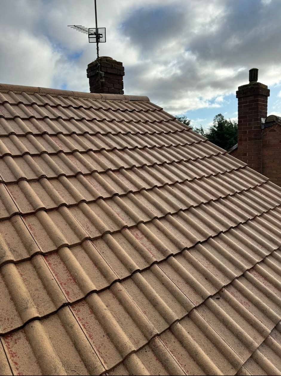 Roof tiles after professional soft-wash moss removal and cleaning